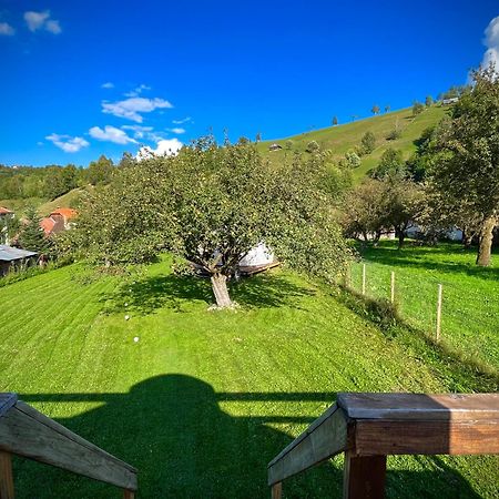 Flore'S Garden Glamping ブラン エクステリア 写真