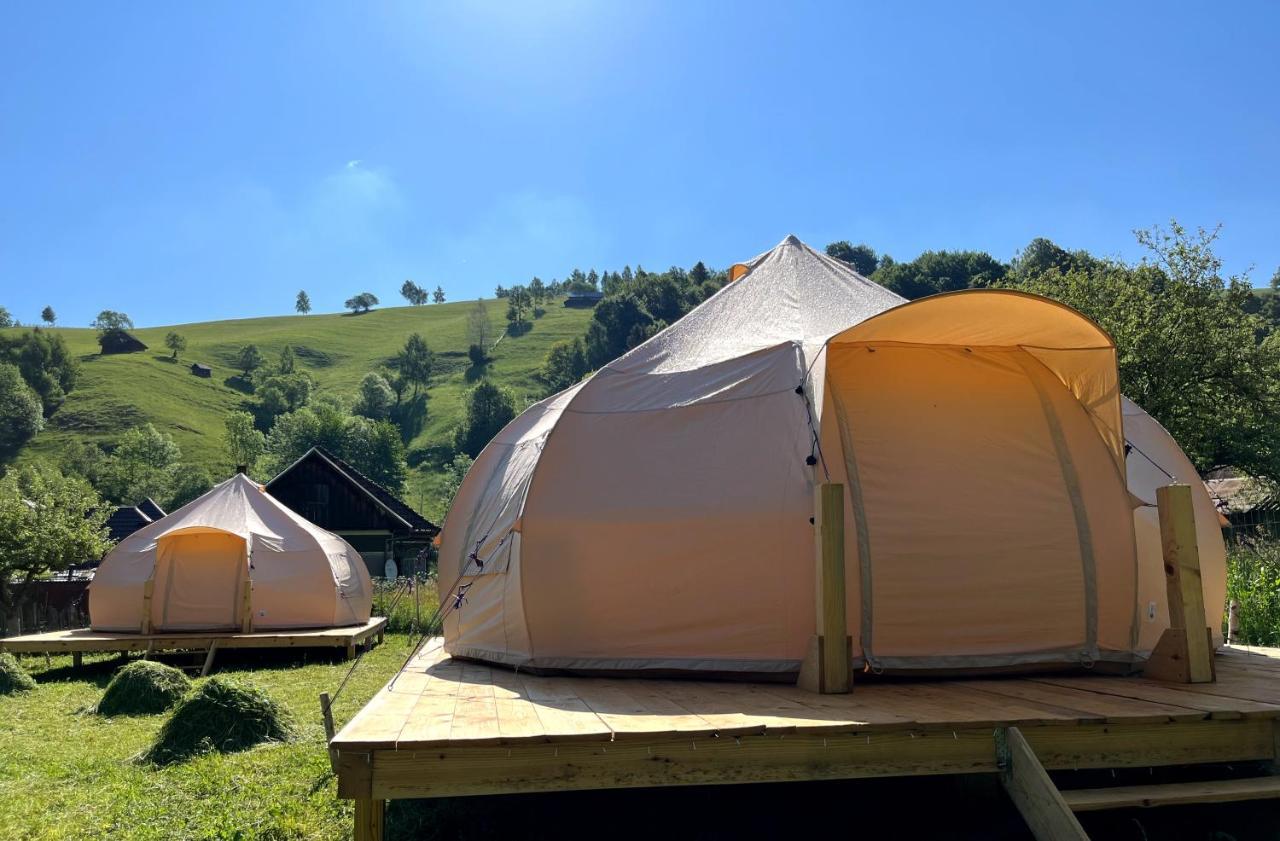 Flore'S Garden Glamping ブラン エクステリア 写真