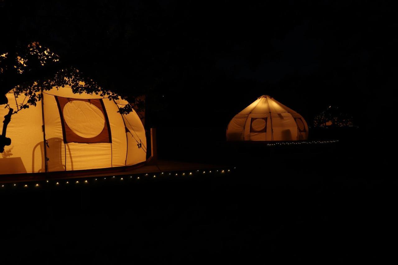 Flore'S Garden Glamping ブラン エクステリア 写真