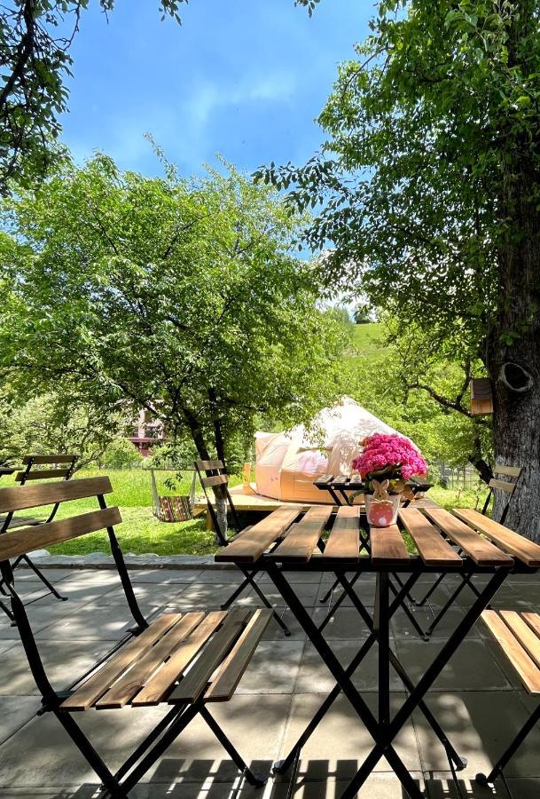 Flore'S Garden Glamping ブラン エクステリア 写真