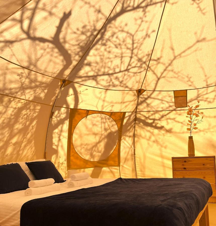 Flore'S Garden Glamping ブラン エクステリア 写真