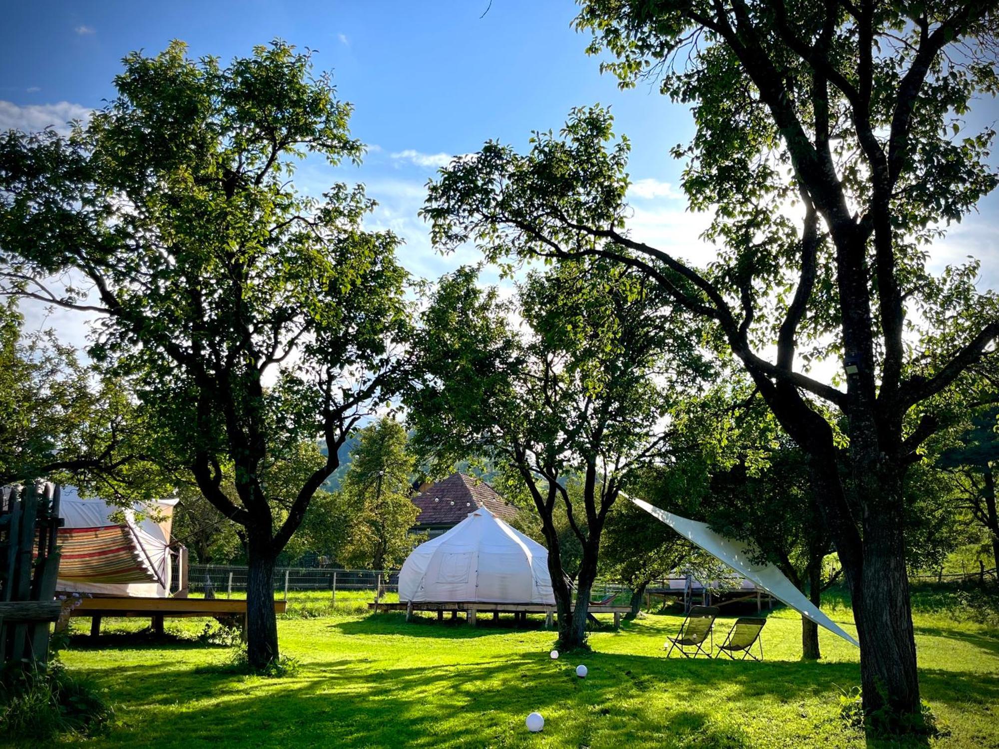 Flore'S Garden Glamping ブラン エクステリア 写真